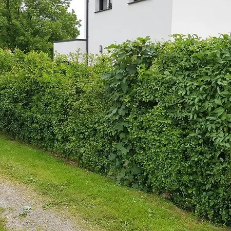 Prázdninový dům Maison Moderne A La Campagne Bezinghem