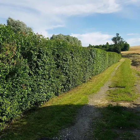 Maison Moderne A La Campagne